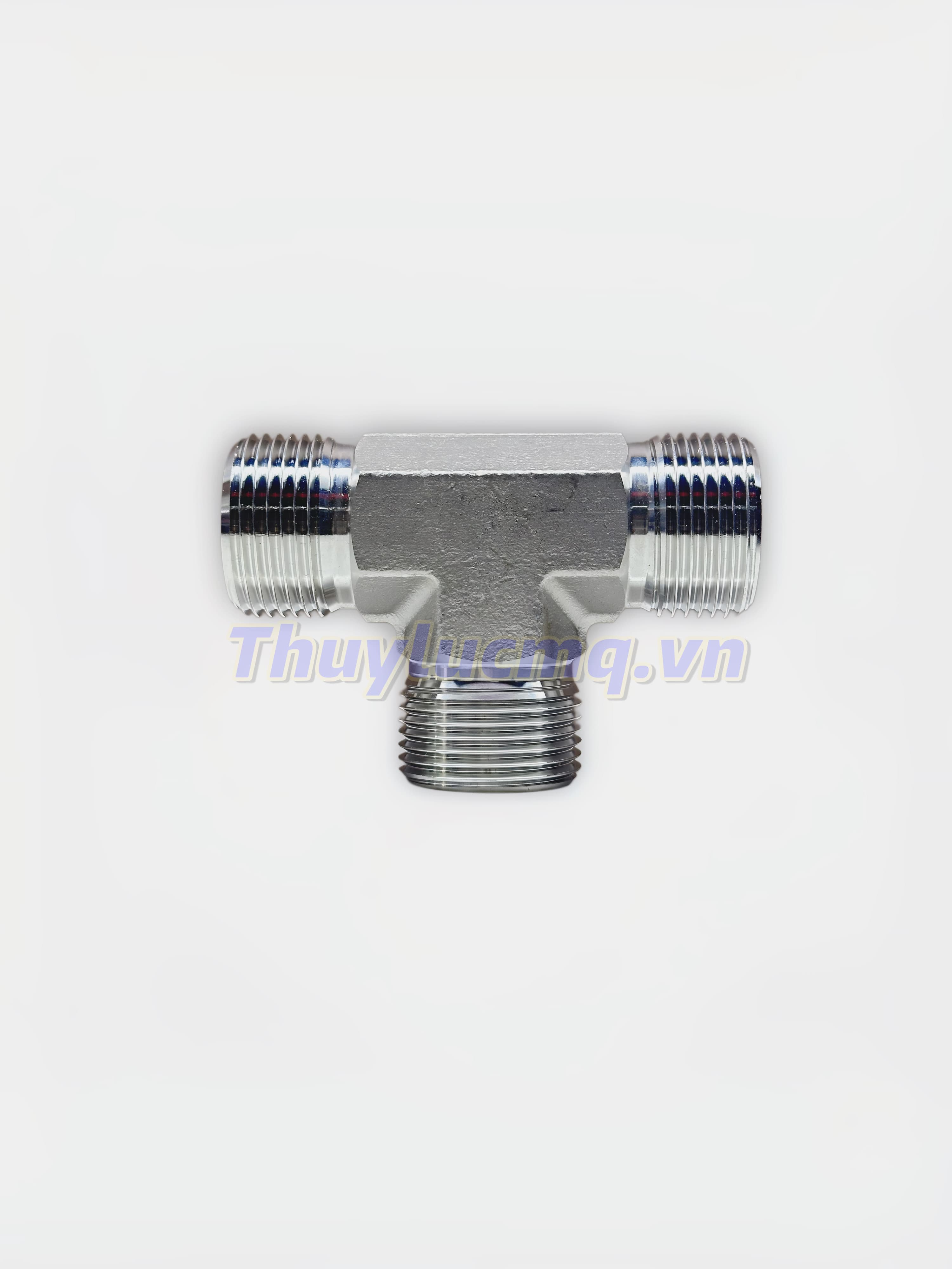 Nối chữ T BSPP - INOX