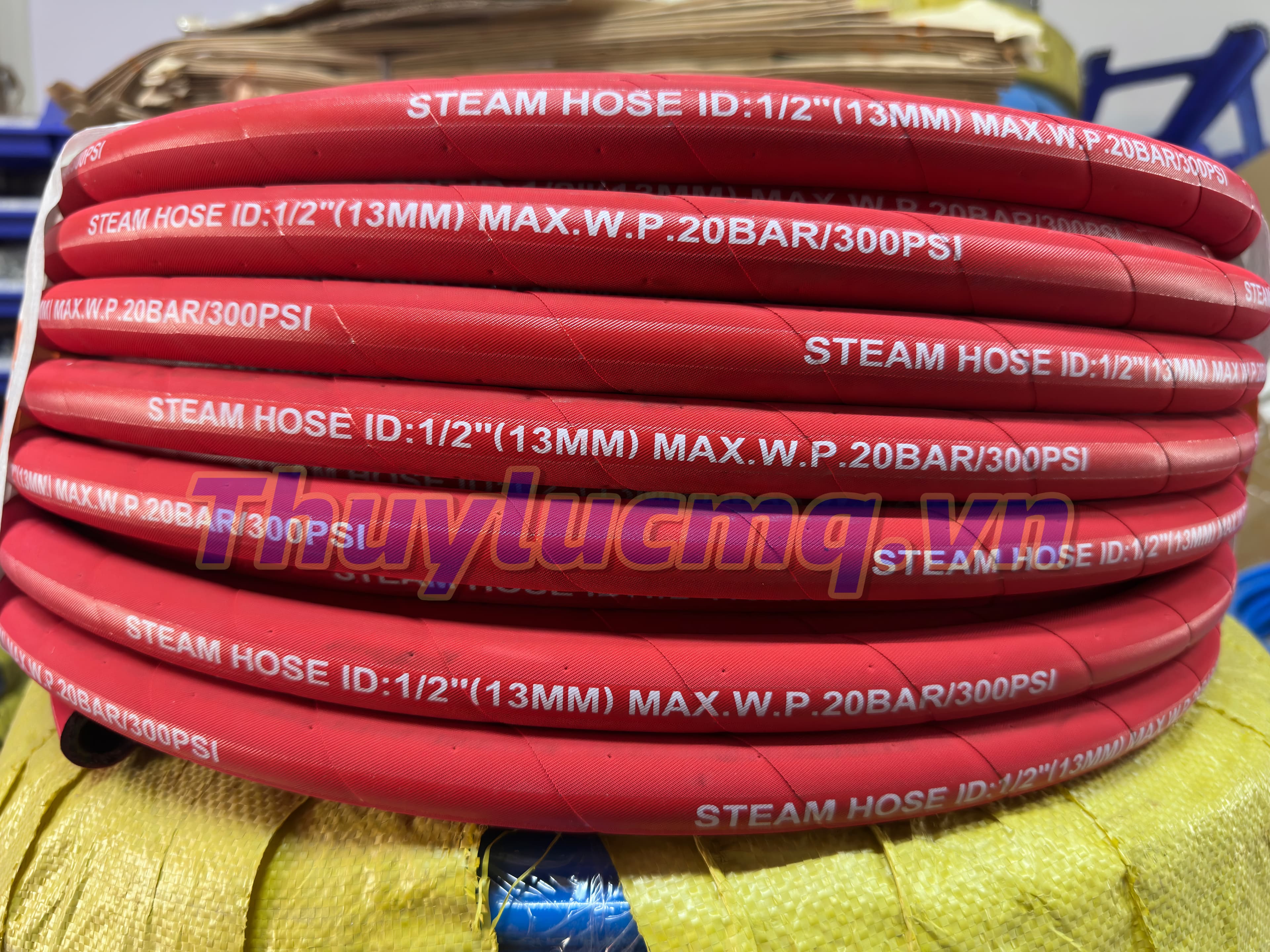 Ống chịu nhiệt Steam Hose 1/2 inch (DN12) – 20 Bar – Ống dẫn hơi nóng